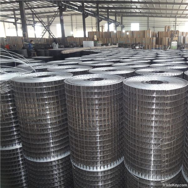 hebei stainless steel wire mesh