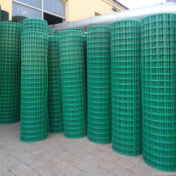 hebei professional PVC coated wire mesh with high quality