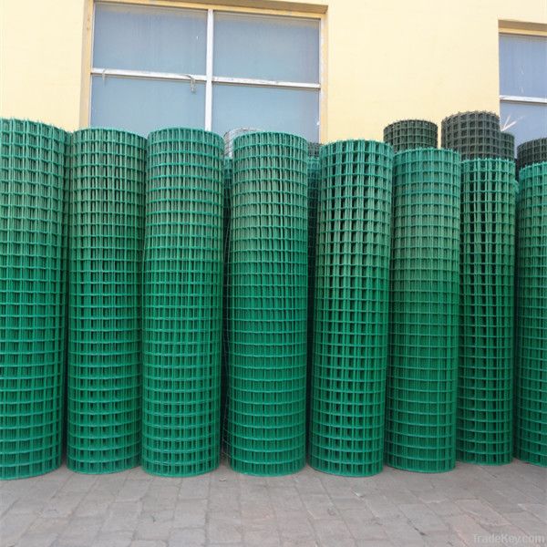 hebei professional PVC coated wire mesh with high quality