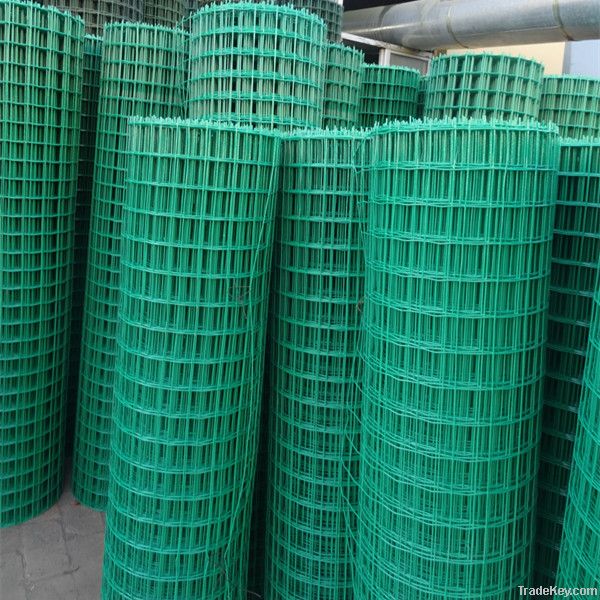 hebei professional PVC coated wire mesh with high quality