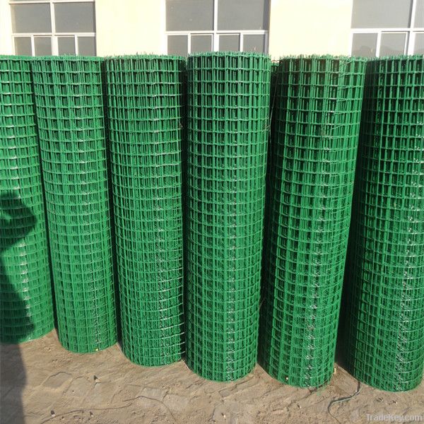 hot sale PVC coated wire mesh with best price from hebei manufacture