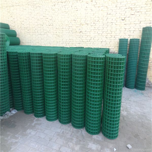 hot sale PVC coated wire mesh with best price from hebei manufacture