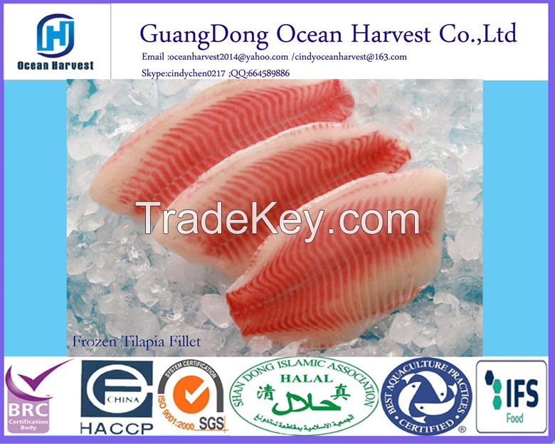 Frozen Tilapia Fillet(Oreochromis niloticus) 