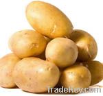 Potatoes