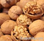 High Quality Walnuts