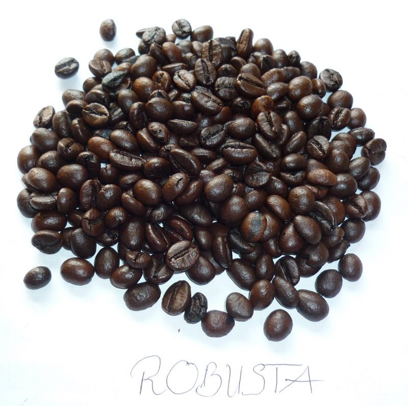 Roasted Robusta Coffee Beans