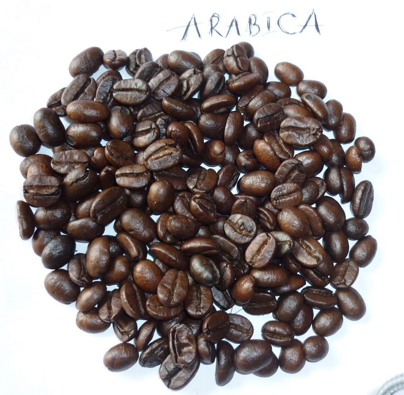 Roasted Coffee Beans