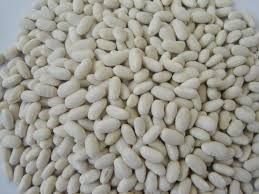 White Kidney Beans