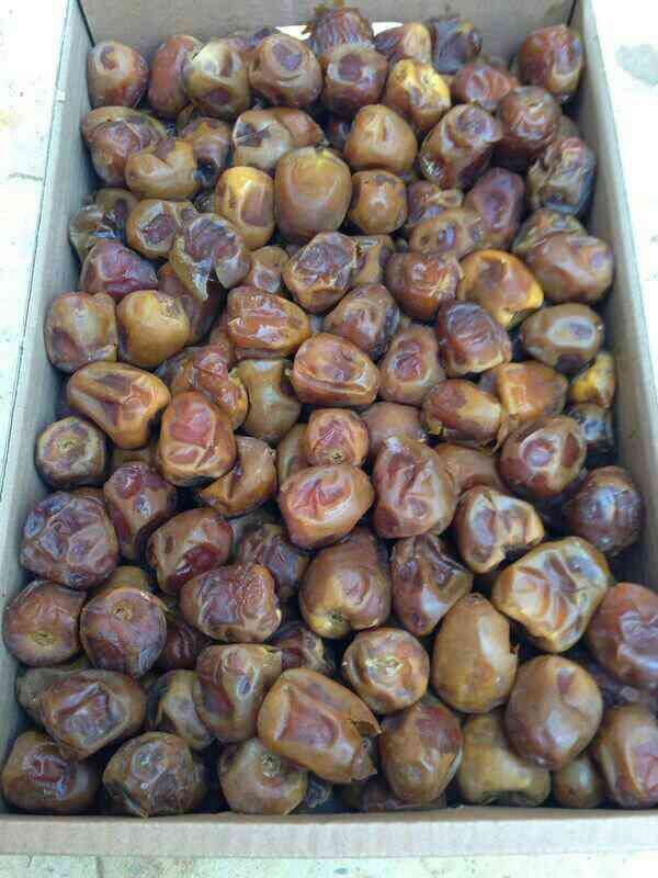 Ajwa and Sukkary dates