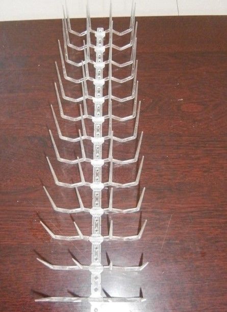 Polycarbonate anti bird spike