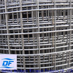 Welded  Wire Mesh