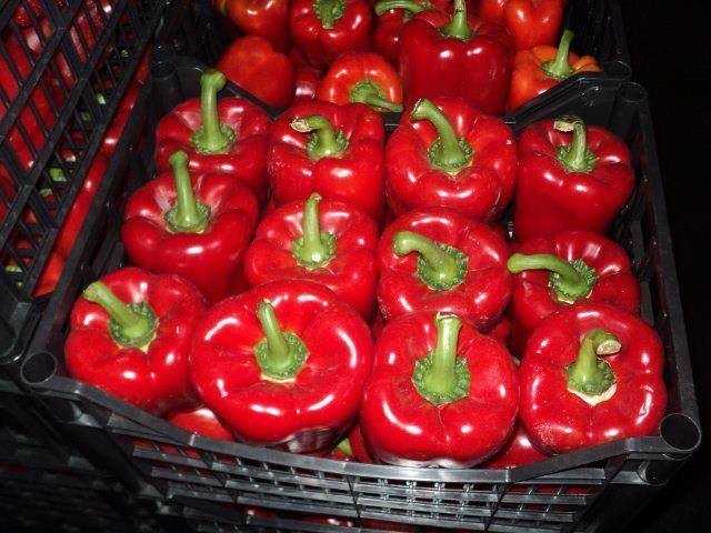 fresh sweet pepper