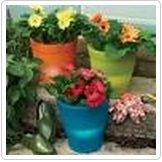 Flower Pots