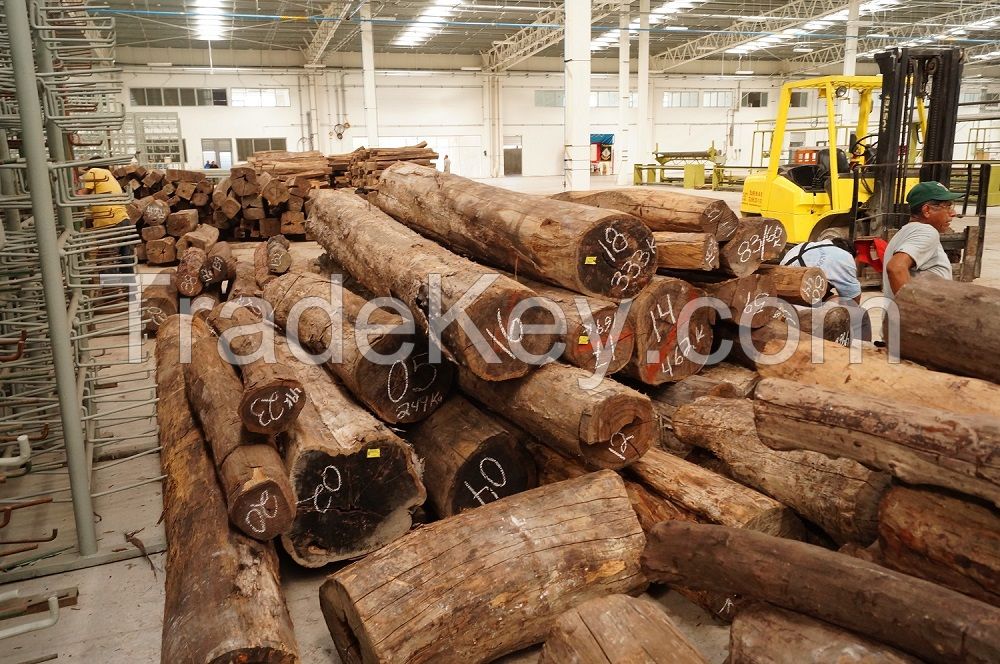 Mexican Dalbergia Retusa (Cocobolo) with CITES