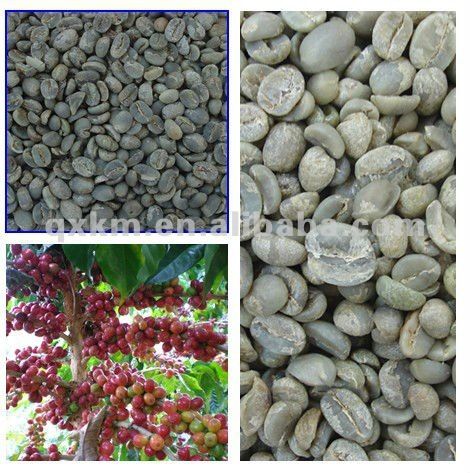 Arabica Coffee Beans 2013 Crop