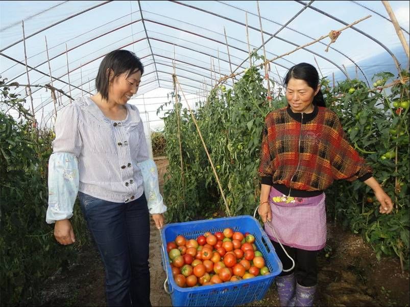 high quality anti-aging  greenhouse film for agriculture