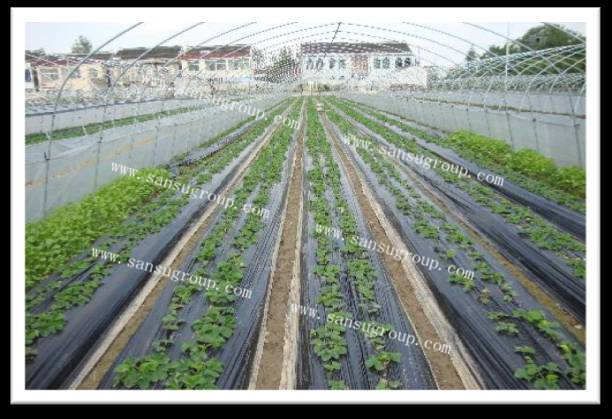 high quality Polyethylene black plastic film for agriculture