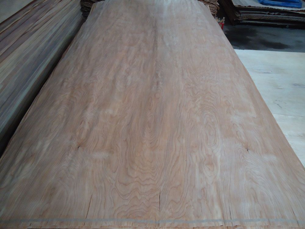 Birch Veneer