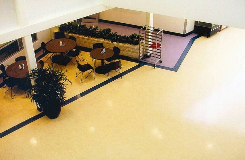 anti-bacterial and anti-fungal healthcare flooring