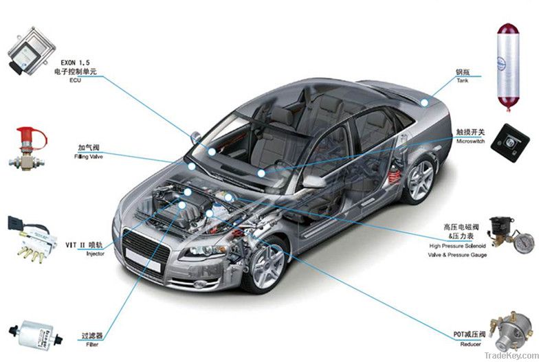 Exon Gas Sequential CNG / LPG Injection System (4.6.8cyl.) V1.5