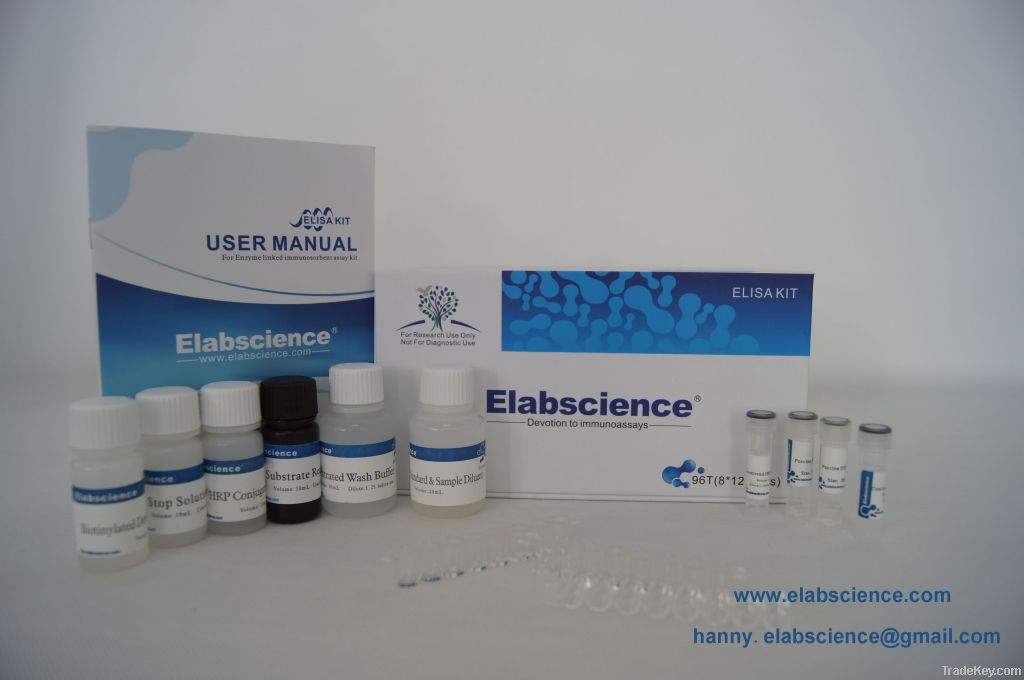 Human IL-8 Elisa kit