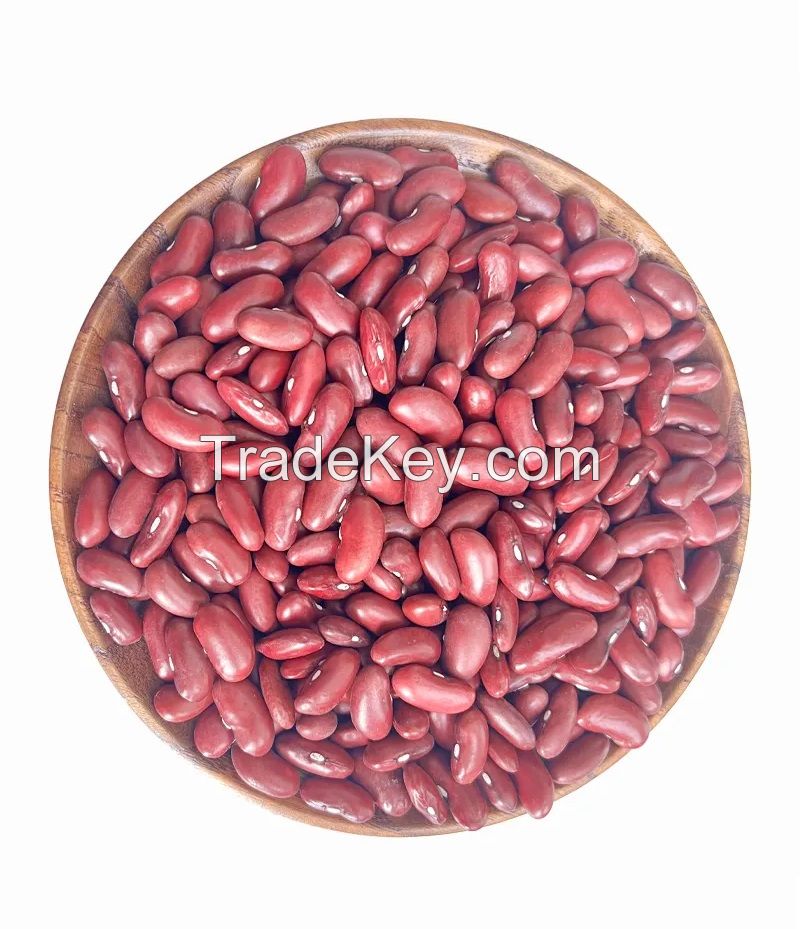 High Quality White Kidney Beans , Adzuki Beans, Speckle Kidney Beans, , Lentils, red Beans, Pulses Exporters, Growers, Suppliers