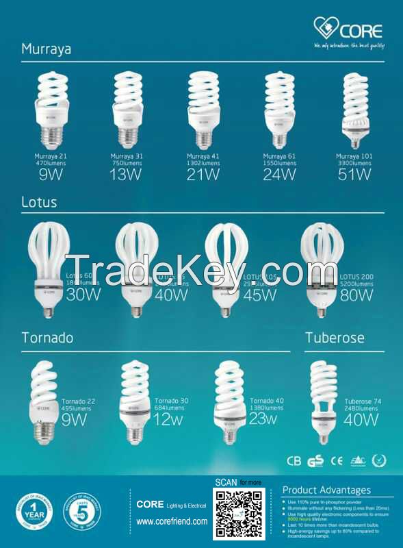 Energy saving lamps