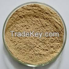 High  quality Green coffee bean extract powder 