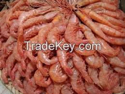 High  quality  Crustaceans Raw Peeled Deveined Frozen Shrimp 