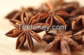 High  quality  STAR ANISEED 