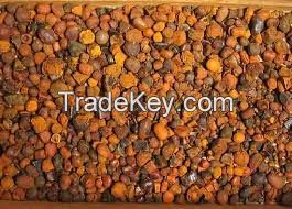 High  quality  Ox Gallstone