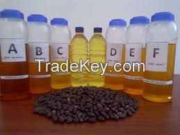 High  quality  Jatropha Oil