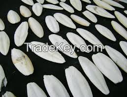 High  quality  Cuttle fish bone