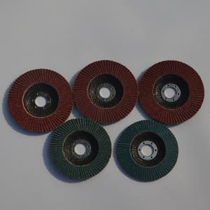 Flap discs