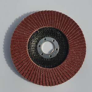 Flap discs