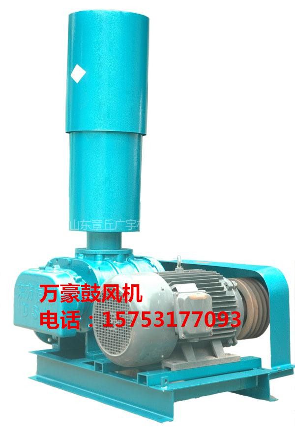 Air blower used in water treatmen