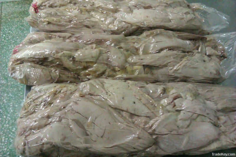 Frozen Bonito Frigate Loin for Canned Tuna A Grade