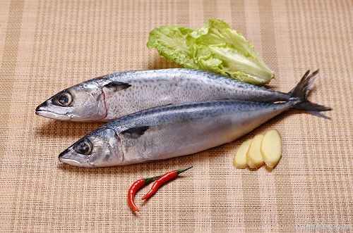 Pacific mackerel whole round supply