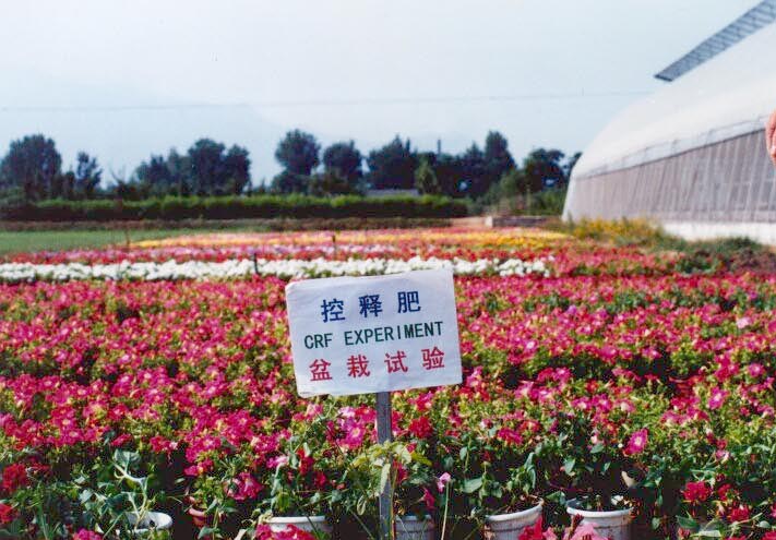 controlled release fertilizer/ seaweed extract fertilizers /EDTA es