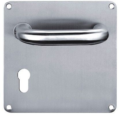 door handle with plate