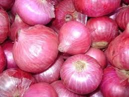 ONIONS