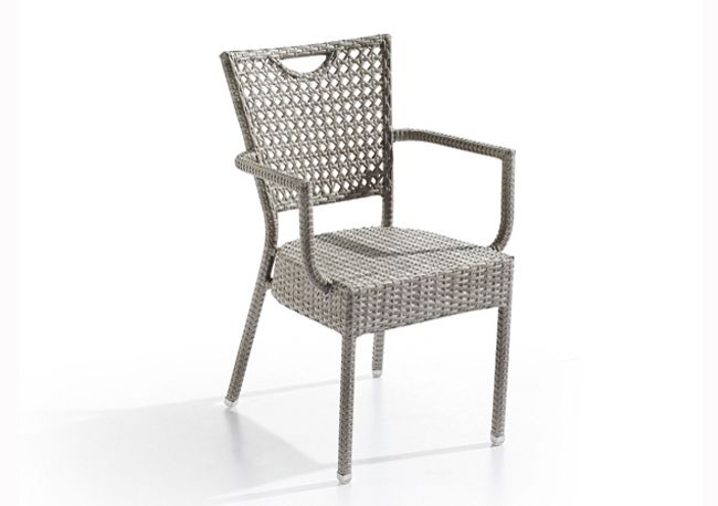 Douglas arm dining chair