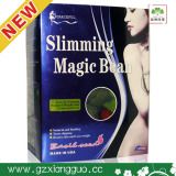 Magic Bean Weight Lose 10kg a Month