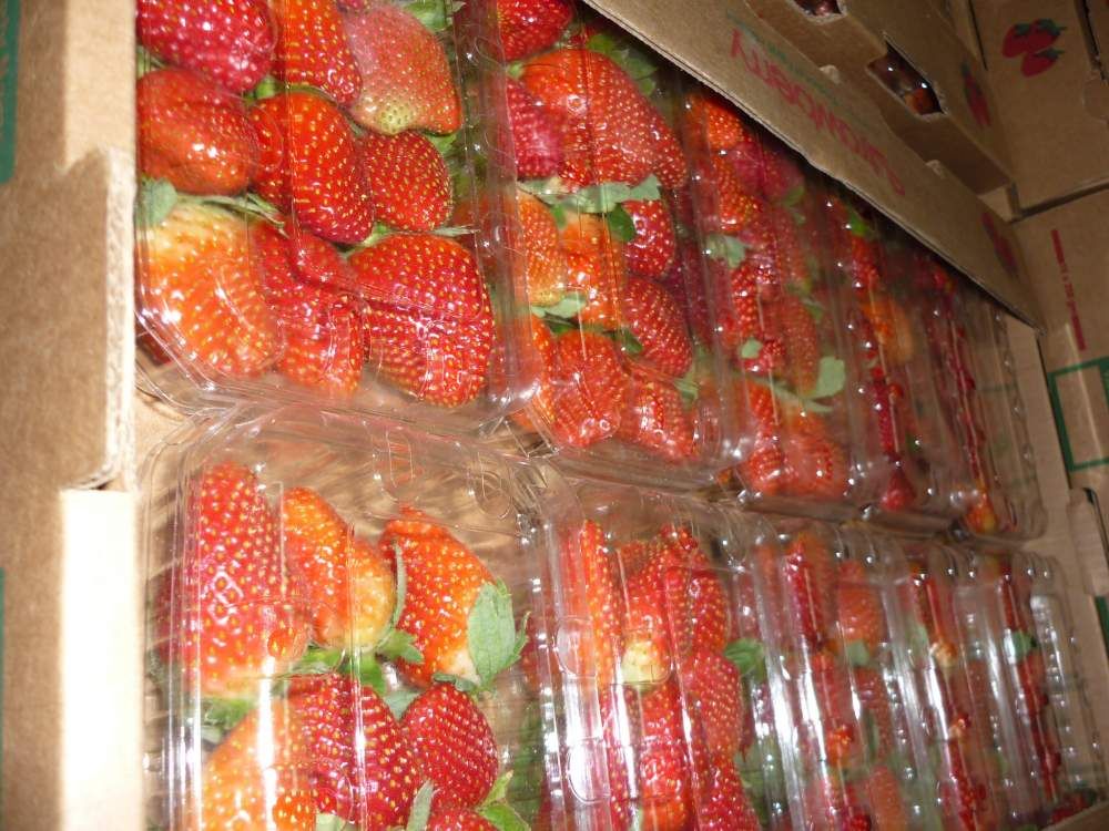 Fresh strawberry