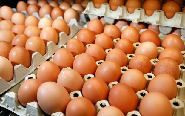 Farm fresh eggs