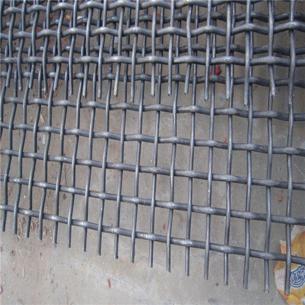 Best Price and Factory Price Manganese Mine Screen