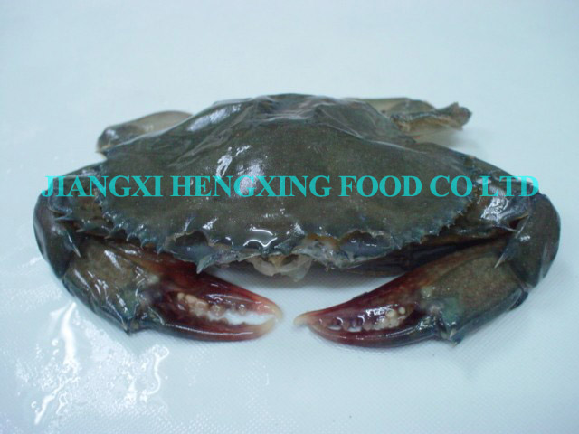 Soft Shell Crab