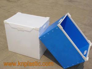 PP Hollow sheet,PP turnover box,corrugated box,flute board