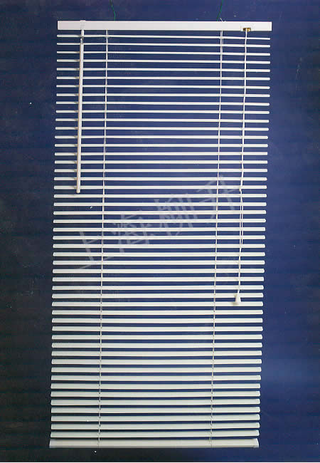 PVC mini blind