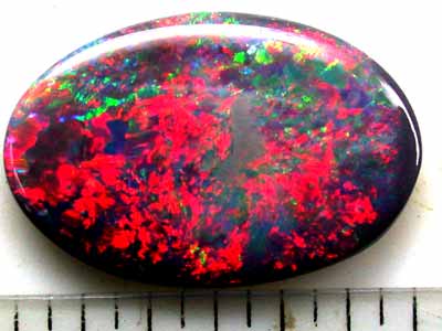 GEM FIRE RED COLLECTOR BLACK OPAL